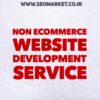 Buy Complete Non-E-commerce Website Design & Development Service