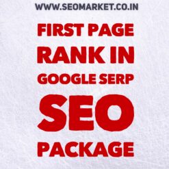 GOOGLE FIRST PAGE RANK SEO Package