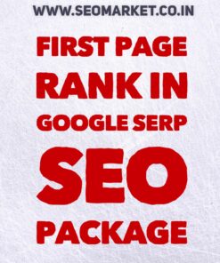 GOOGLE FIRST PAGE RANK SEO Package