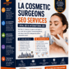 LA Cosmetic Surgeons Local SEO & International SEO