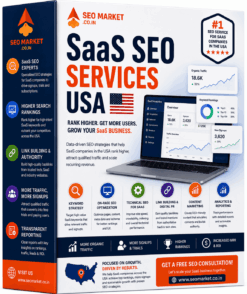 SaaS SEO USA